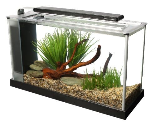 Fluval Spec V Aquarium Kit, 5 US Gal