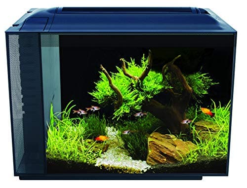 Fluval Spec Aquarium Kit, 16 US Gal