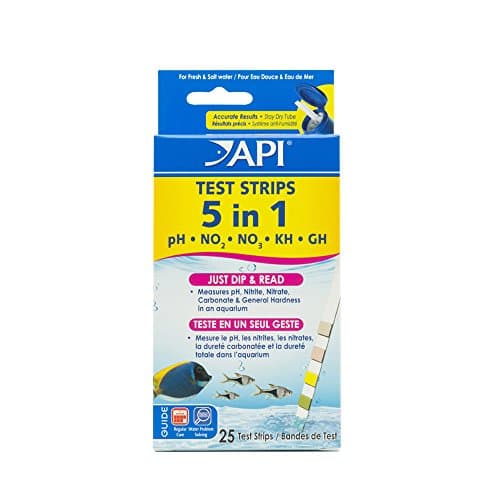 API 5-in-1 Test Strips