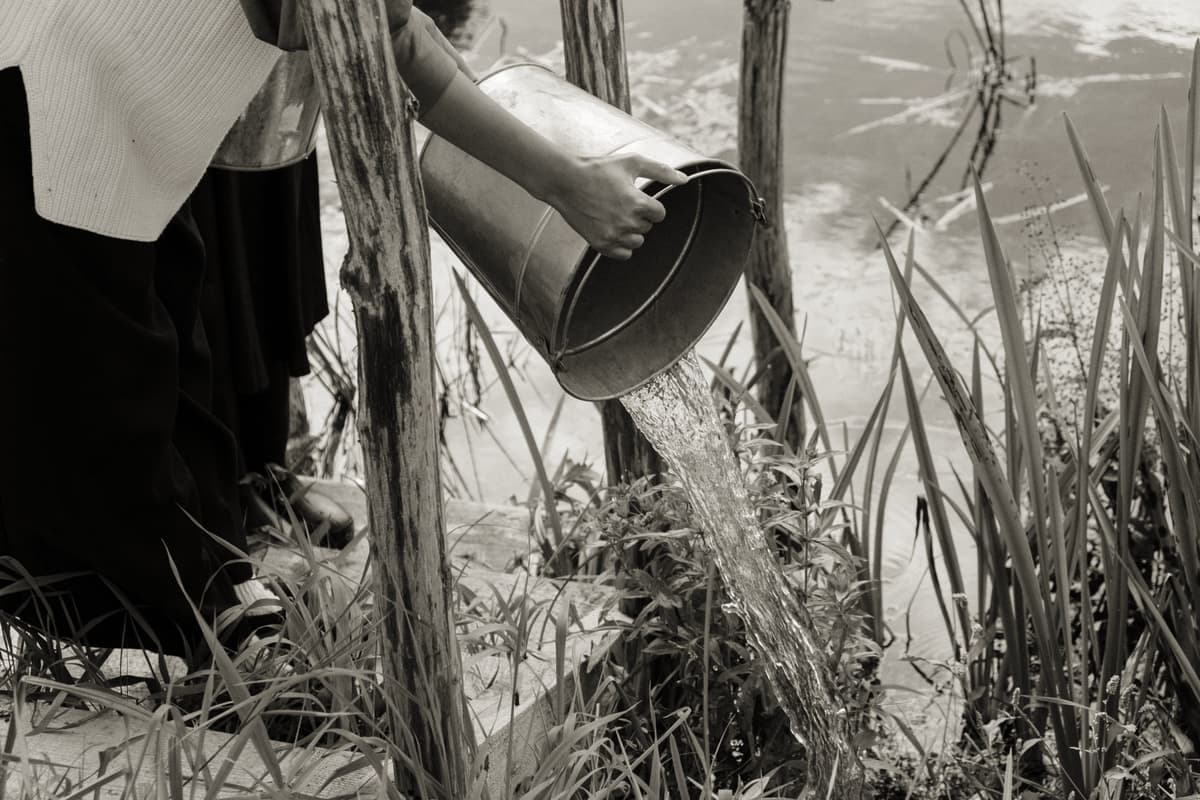A siphon being used to change water in an aquarium