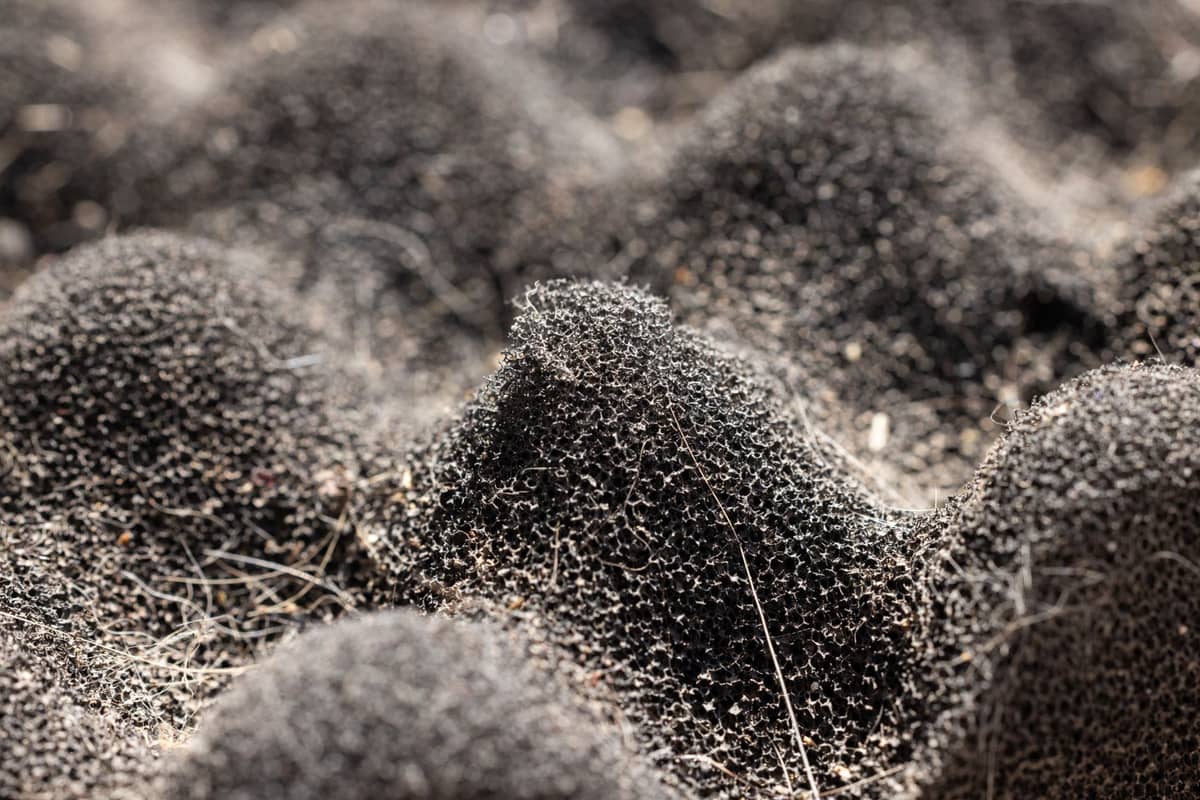 Close-up of the open-cell structure of a synthetic foam sponge
