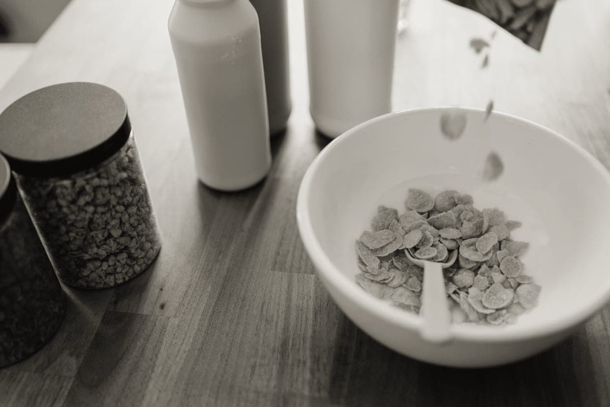 Fish food flakes in a container
